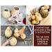 This image shows several unfinished gourds I'm getting ready for carving and decorating into fall pumpkins decorations.